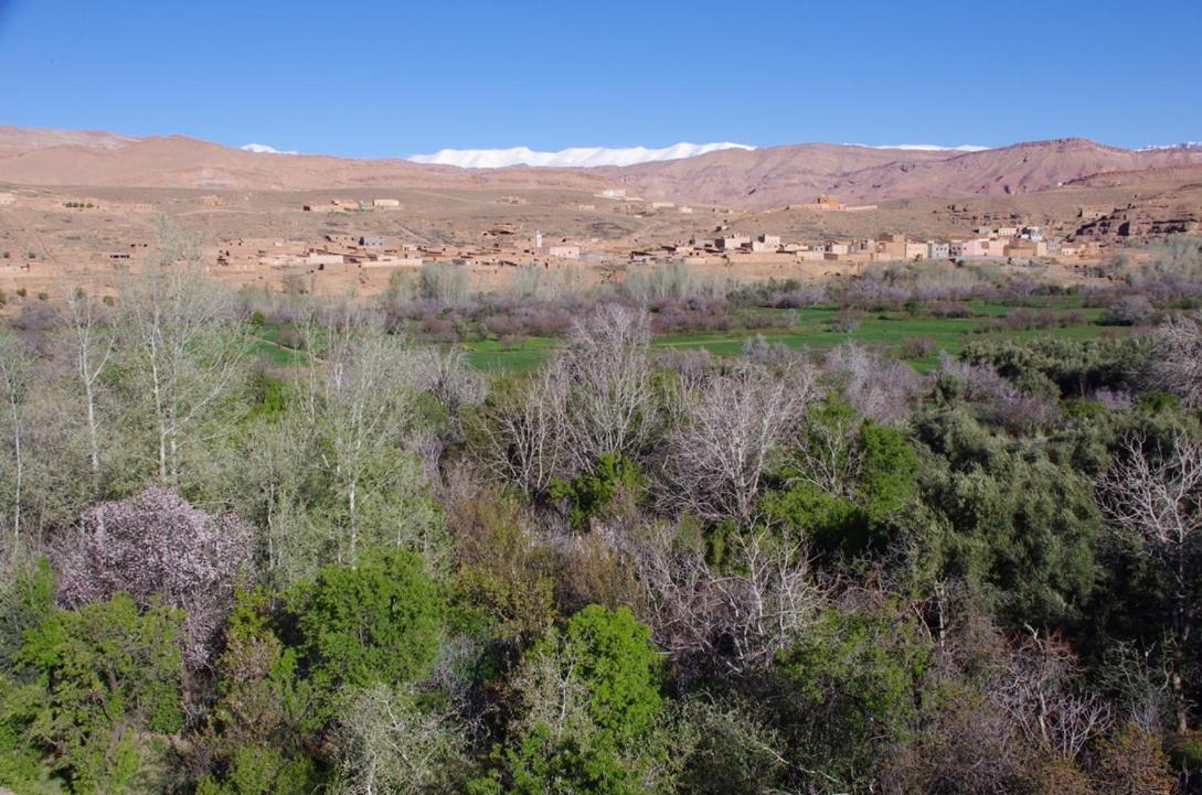 Les Jardins Du M'Goun Bed & Breakfast Kelaat-M'Gouna Eksteriør bilde