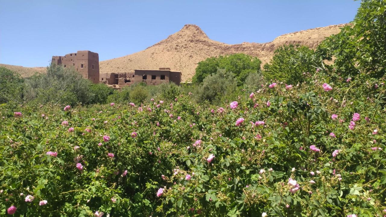 Les Jardins Du M'Goun Bed & Breakfast Kelaat-M'Gouna Eksteriør bilde