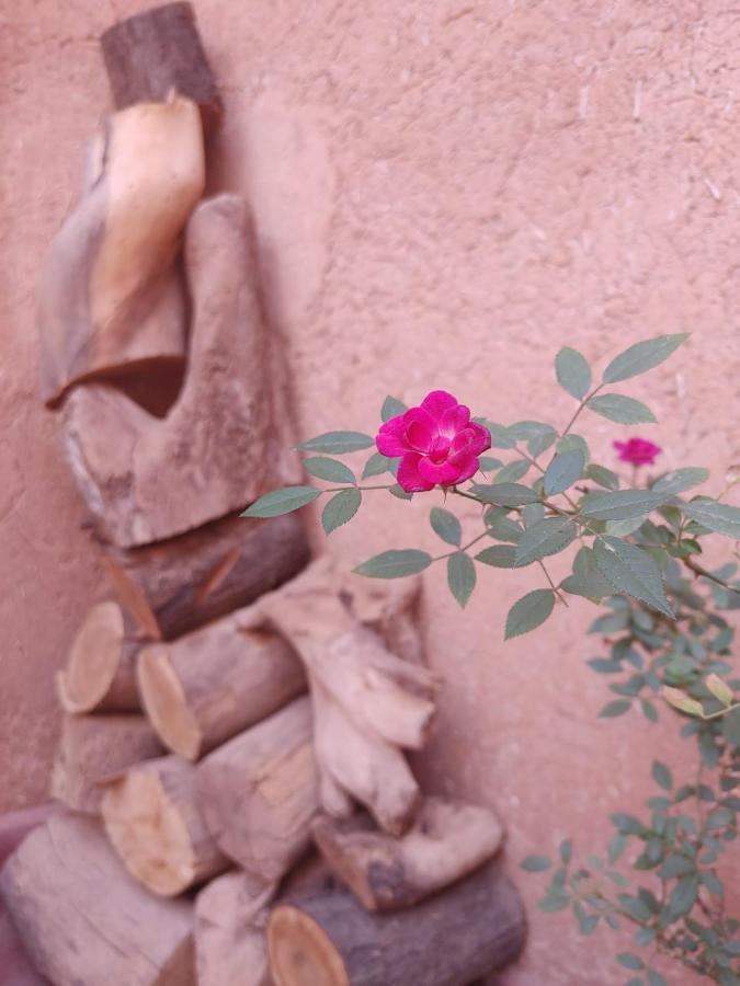 Les Jardins Du M'Goun Bed & Breakfast Kelaat-M'Gouna Eksteriør bilde