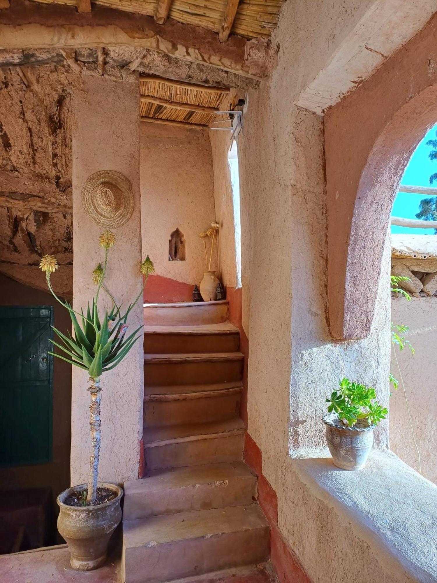 Les Jardins Du M'Goun Bed & Breakfast Kelaat-M'Gouna Eksteriør bilde